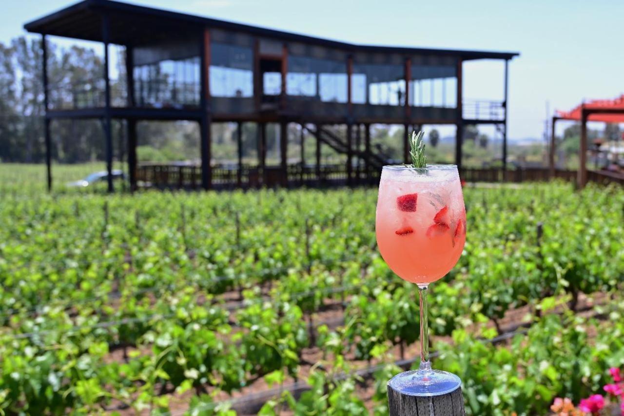 Don Tomas Vinedo Cabanas Valle de Guadalupe Ngoại thất bức ảnh