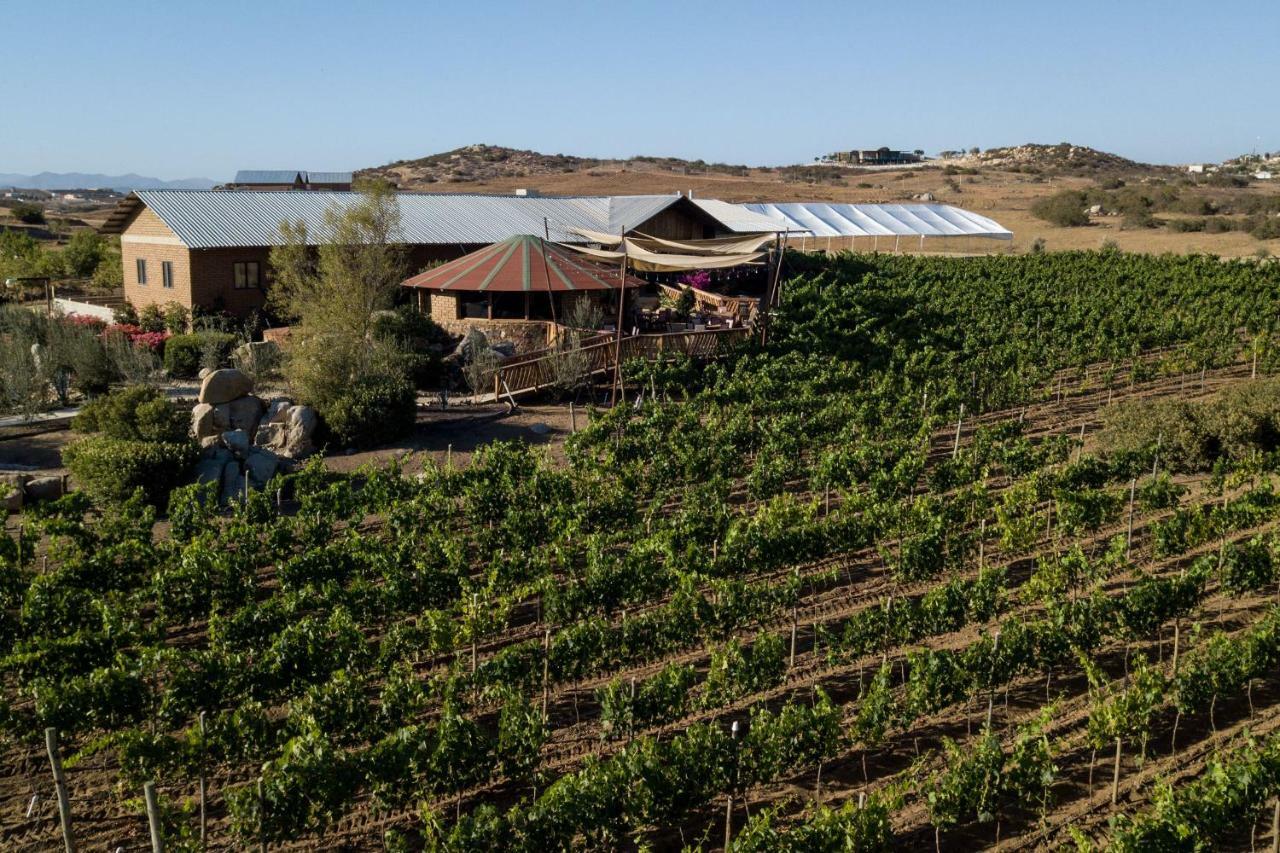 Don Tomas Vinedo Cabanas Valle de Guadalupe Ngoại thất bức ảnh